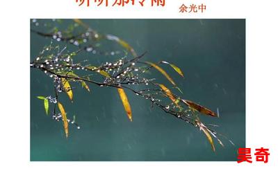 冷雨最佳来源-冷雨(免费阅读)小说全文阅读无弹窗