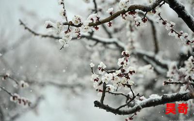 梅须逊雪三分白_梅须逊雪三分白最新章节_梅须逊雪三分白(全文免费阅读)小说全文阅读无弹窗